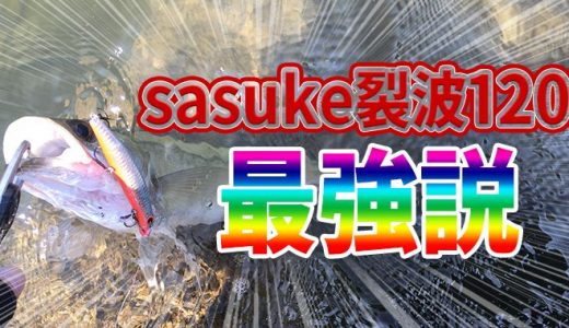 真夏のデイゲーム、堂々のシーバスをGET！sasuke裂波120最強説。